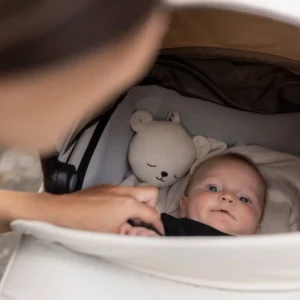 Thule Carrycot Beige