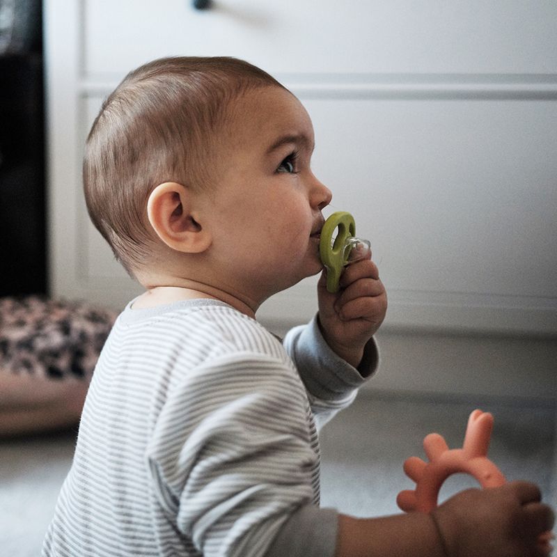 BORRN Animal Teether Crab Orange