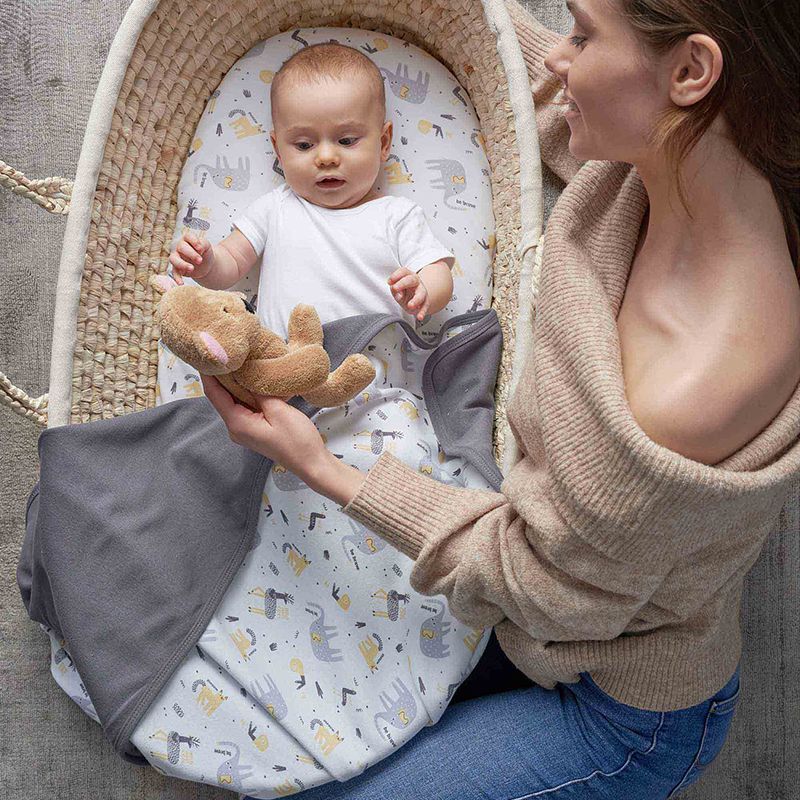 Beebitekk Ceba Baby Dark Grey/Elephant