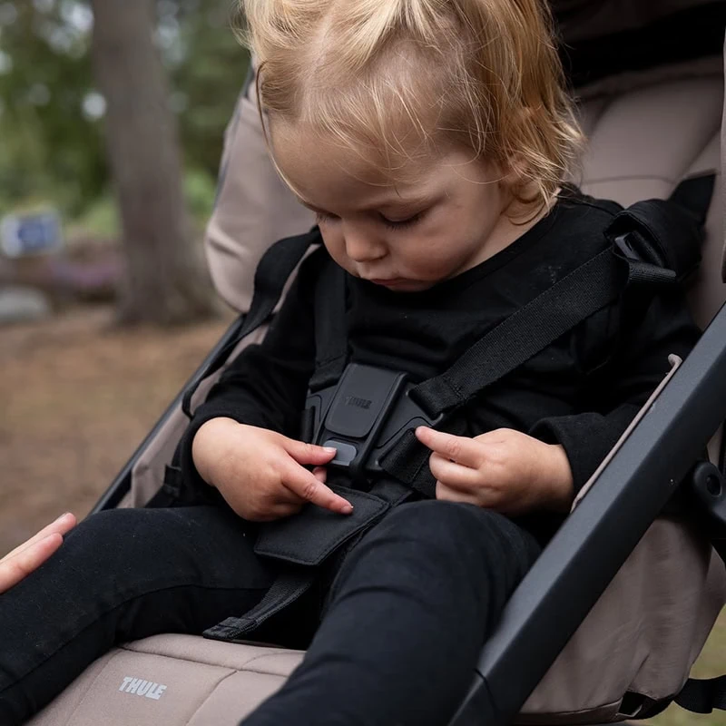 Jalutuskäru Thule Urban Glide 4-Wheel Taupe