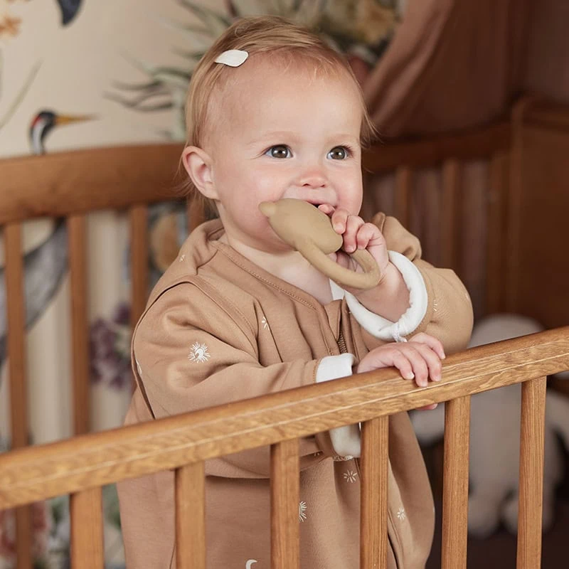 Jollein Teether Biscuit