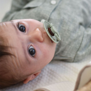 Bibs Colour Sage